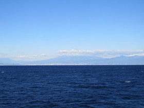 IMG_2724.JPG