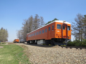 IMG_3765.JPG