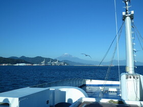 IMG_4271.JPG