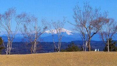 DSC_2906_20230227115112.jpgのサムネイル画像のサムネイル画像