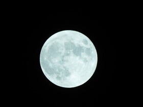 IMG_4376.JPG