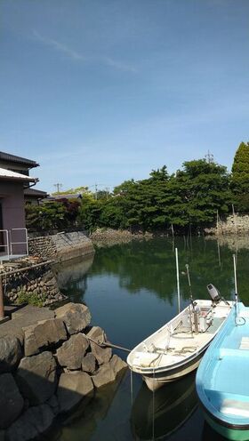 DSC_4393.jpg-2.jpg