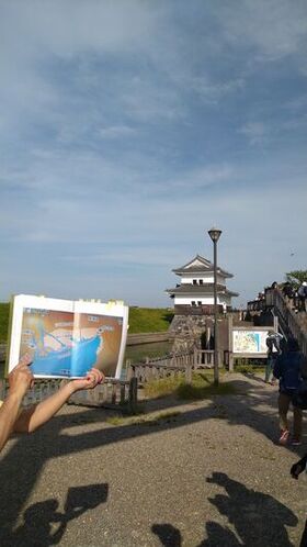 DSC_4406.jpg-2.jpg