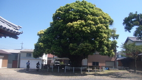 GEDC1294.JPG