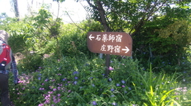 GEDC1310.JPG