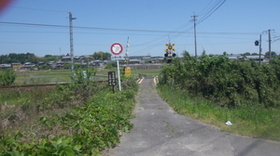 GEDC1311.JPG
