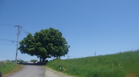 GEDC1312.JPG