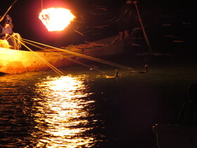 IMG_4598.JPG
