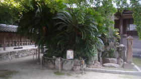 GEDC1846.JPG