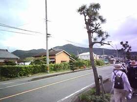 PICT0113.jpg