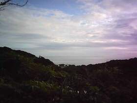 PICT0166.jpg