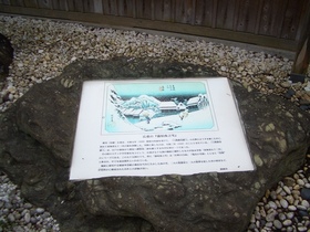 CIMG8028.JPG