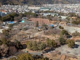 PXL_20250208_044909618.jpg