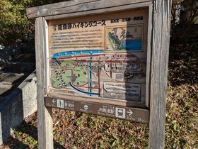 PXL_20250209_062730115.MP.jpg