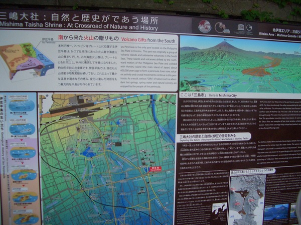 CIMG8210.JPG