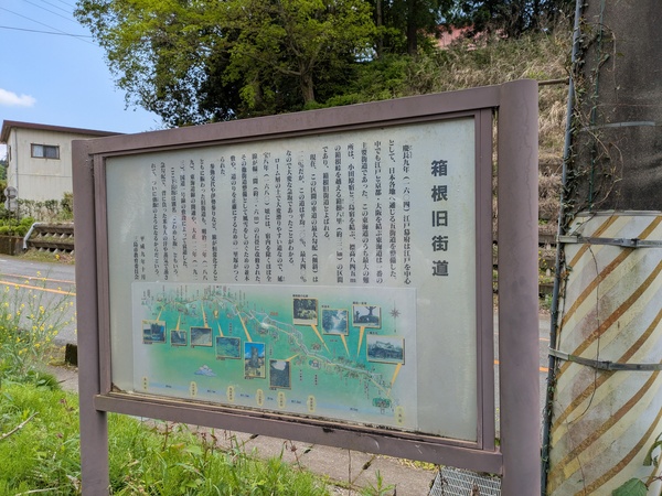 PXL_20250426_024418089.jpg