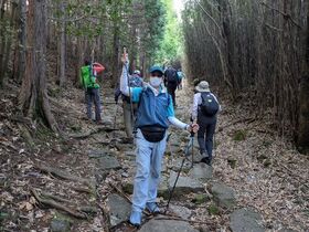 PXL_20250426_065905557.MP-2.jpg
