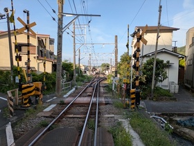 PXL_20250427_074911784.jpg