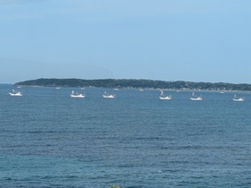 PXL_20250502_234332223.jpg