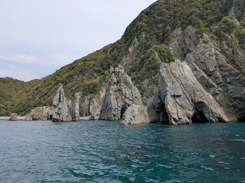 PXL_20250503_050343121.jpg