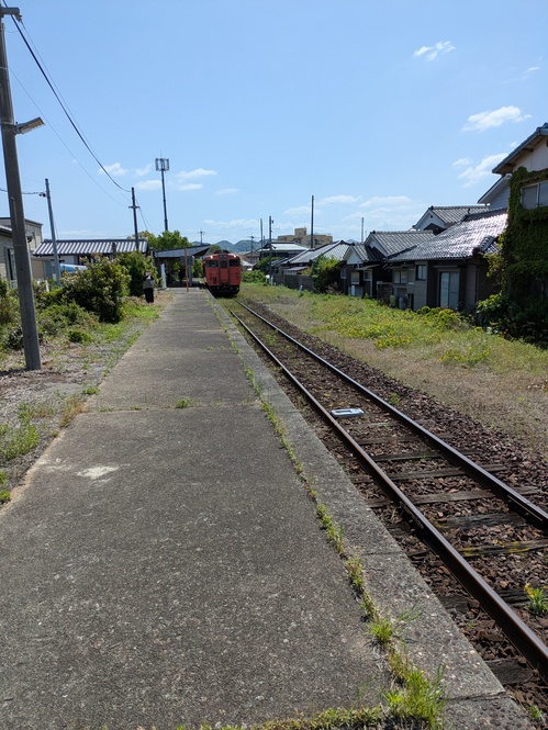 PXL_20250504_011758171.jpg
