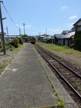 PXL_20250504_011758171.jpg