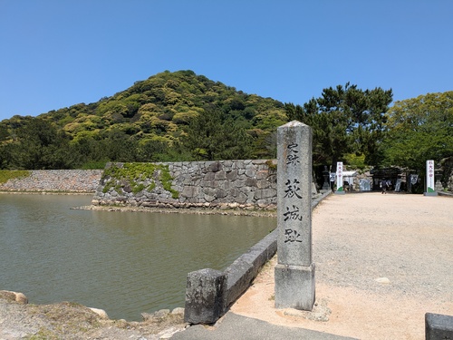 PXL_20250504_030629712.jpg