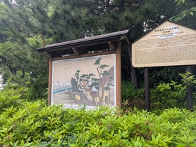 PXL_20250510_022338413.jpg