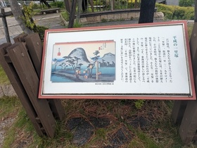 PXL_20250510_025907215.jpg