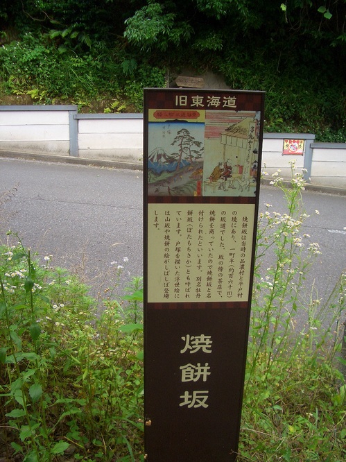 CIMG8402.JPG