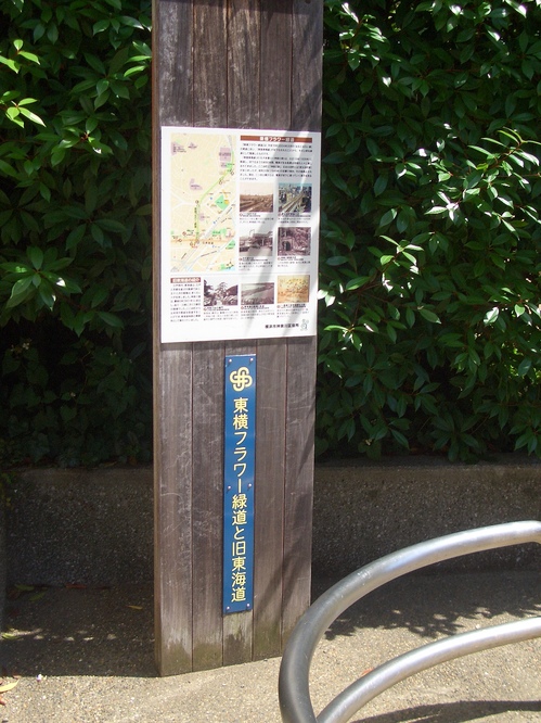CIMG8460.JPG