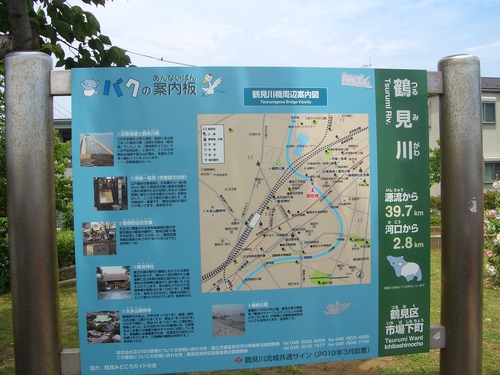 CIMG8499.JPG