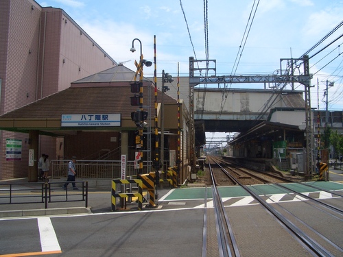 CIMG8511.JPG