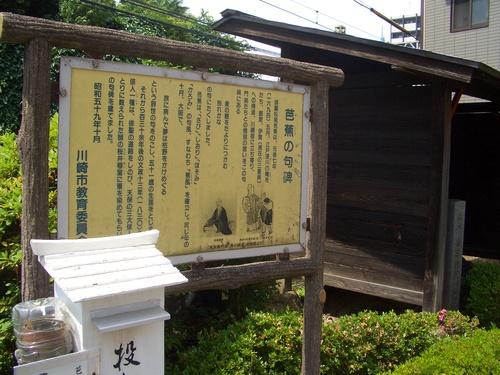 CIMG8513.JPG