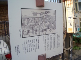 CIMG8523.JPG