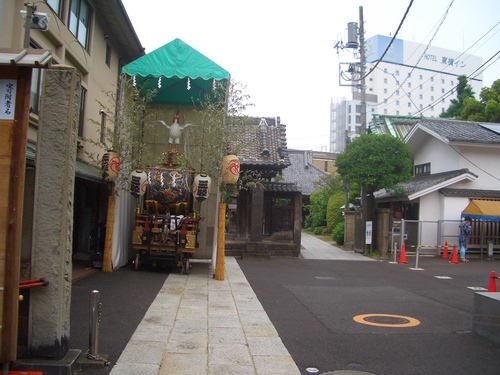 CIMG8561.JPG