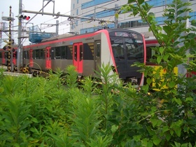 CIMG8595.JPG
