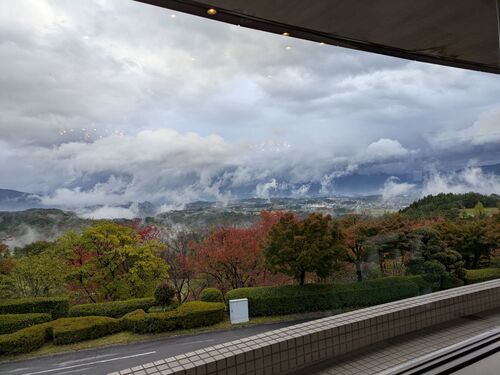 PXL_20251102_215556374.MP_20251106121911.jpgのサムネイル画像のサムネイル画像