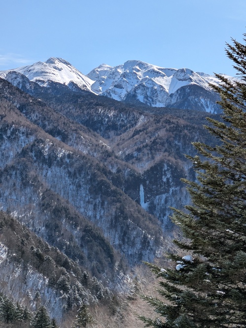 PXL_20260220_014039986.jpgのサムネイル画像